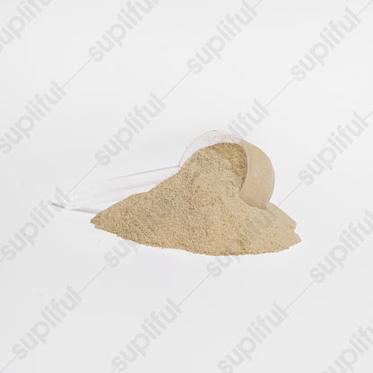 Apex Advanced 100% Whey Protein Isolate (Vanilla)