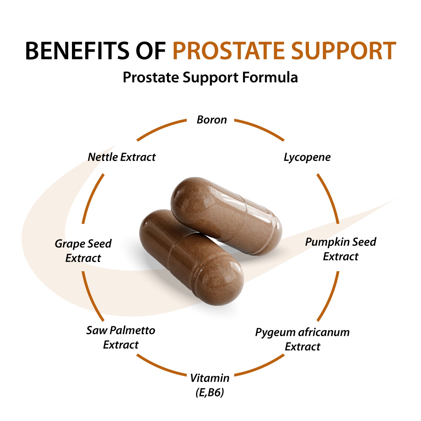 Advanced Prostate Support